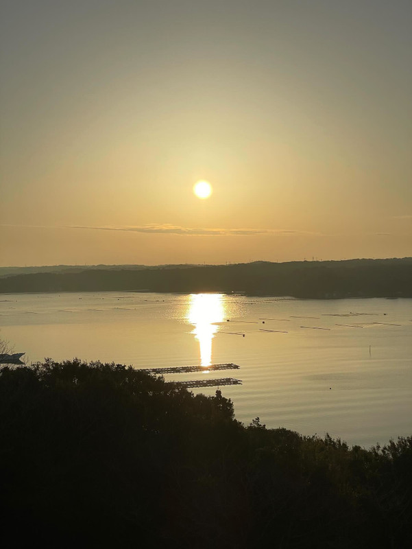 客室の眺望一例