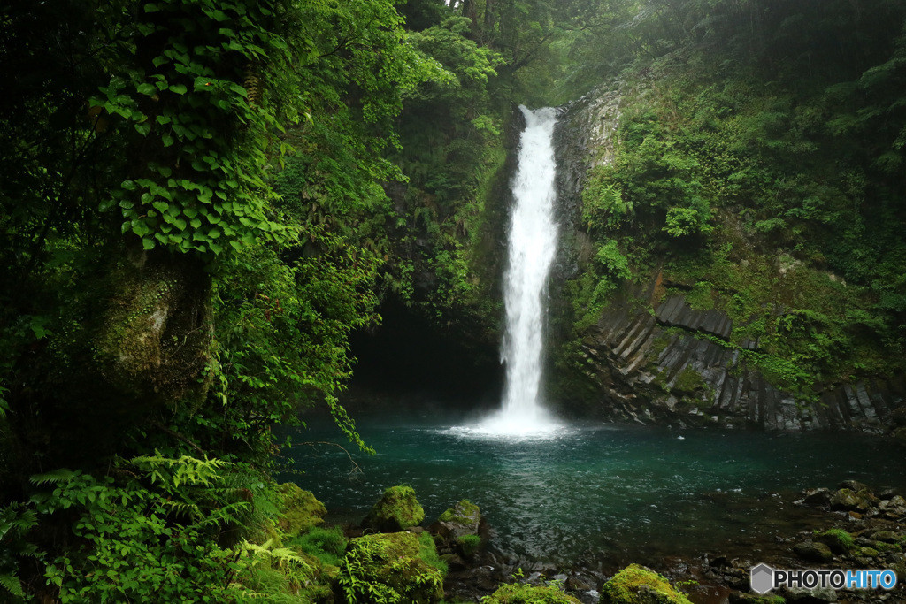 「日本の滝100選」を眺める「浄蓮の滝」3968119