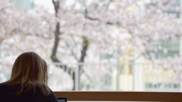 施設からの眺望 / 21