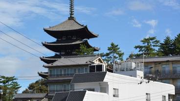 シティ ビュー / 25