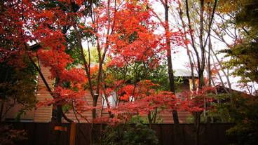 施設からの眺望 / 12