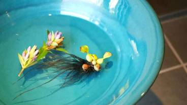 内装の詳細 / 10