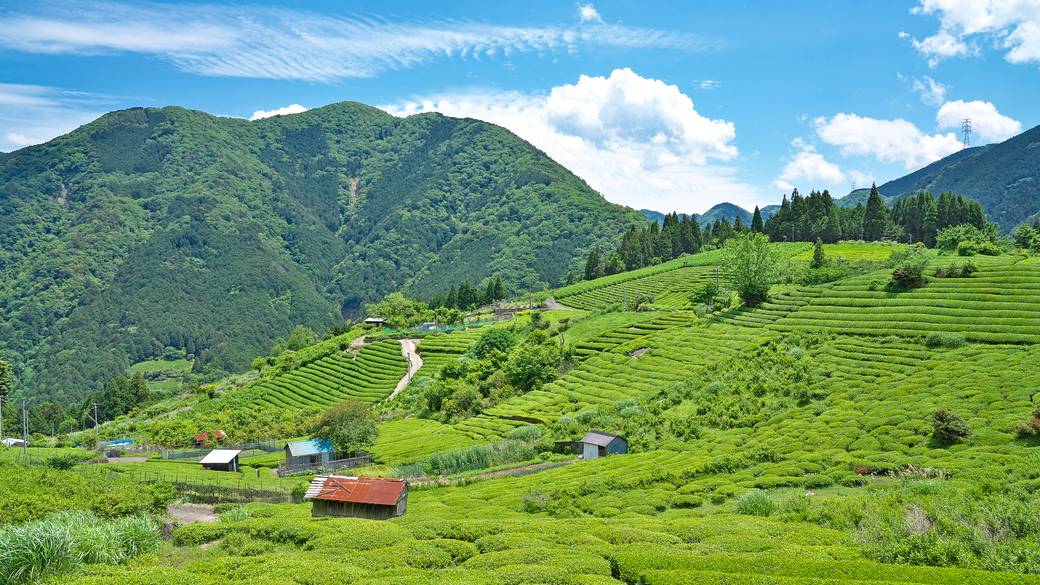 天空の遊歩道 / 1