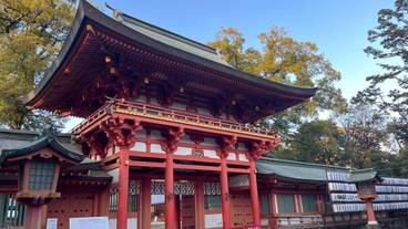 観光スポット / 15