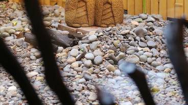 内装の詳細 / 21