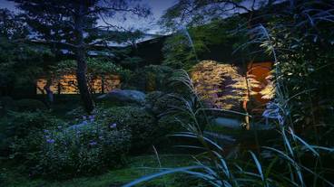 施設からの眺望 / 10