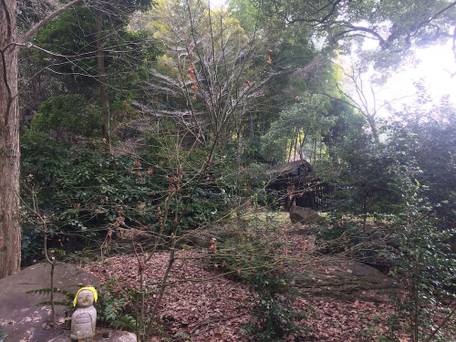 菊池温泉 菊池観光ホテル（BBHホテルグループ） / 5