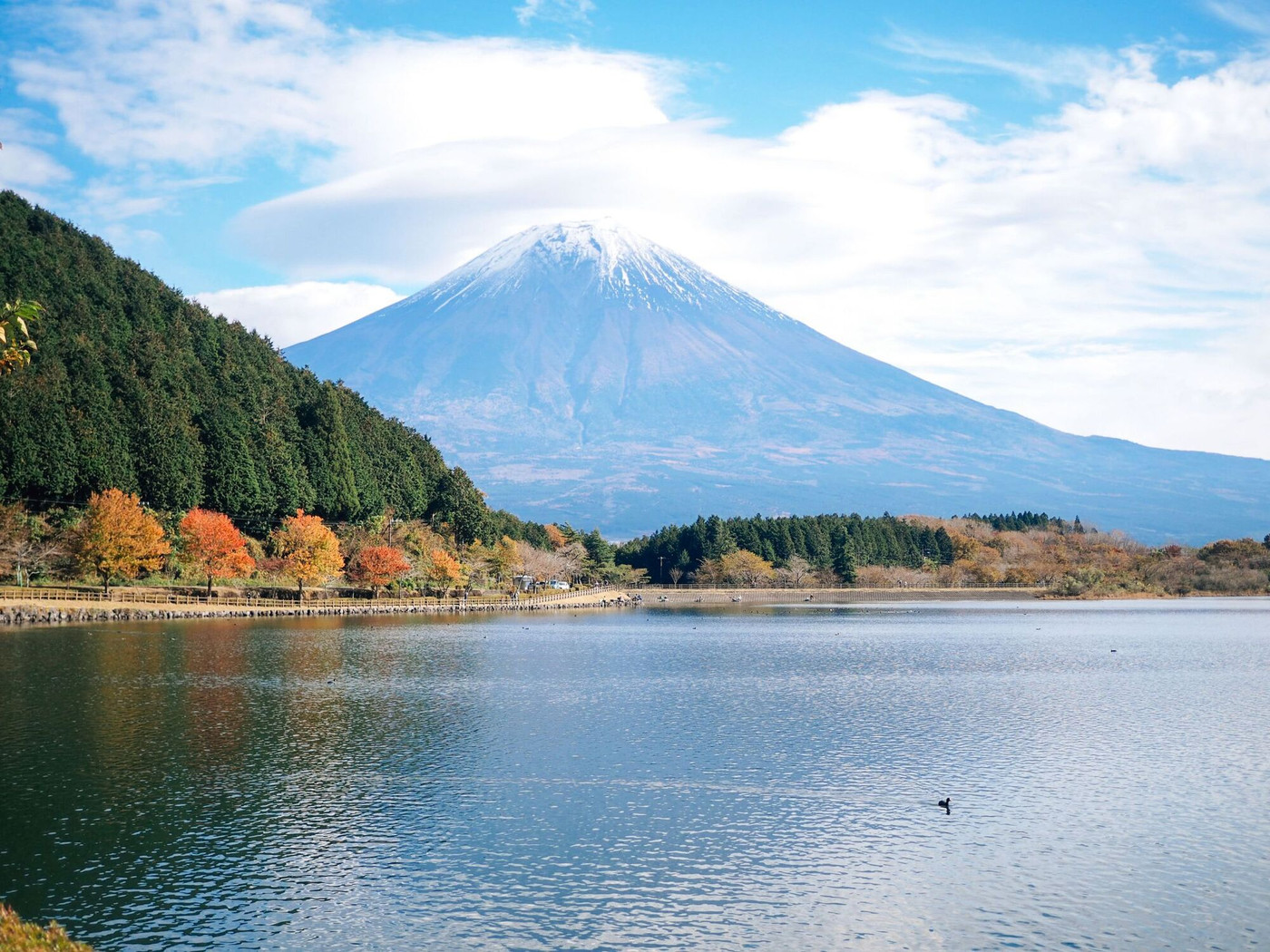 穏やかな水面と富士山に癒やされる「田貫湖」3065071