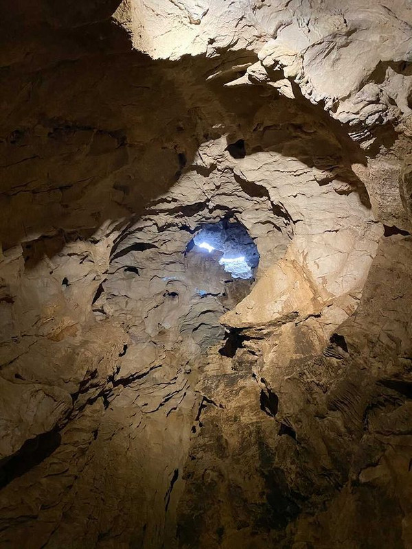 shihoko0922さんの写真 / 2