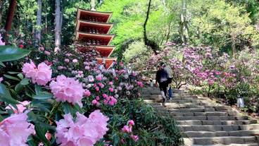 観光スポット / 2