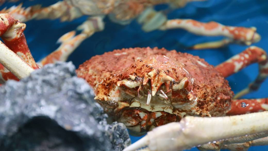 竹島水族館② / 5