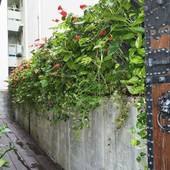 ホテルクオーレ国際通り那覇（沖縄県 ビジネスホテル） / 2