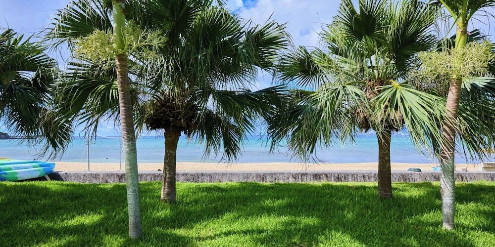 子供用の遊び場 - 屋外