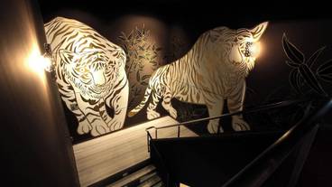 建物のデザイン / 5