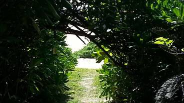 施設からの眺望 / 21