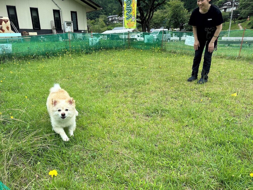 ペット用設備・サービス