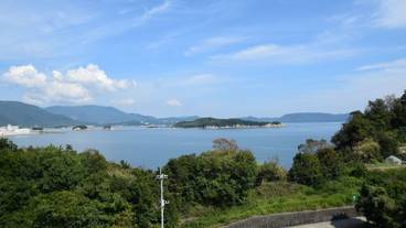 ビーチ / オーシャン ビュー / 19