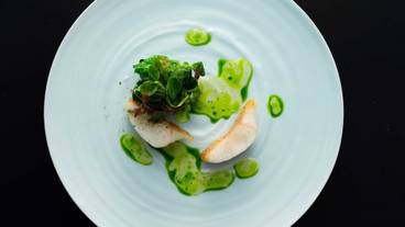 食事・飲み物 / 5