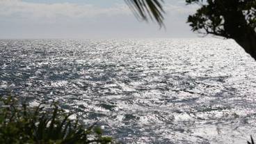 施設からの眺望 / 35