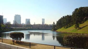 施設の敷地 / 16