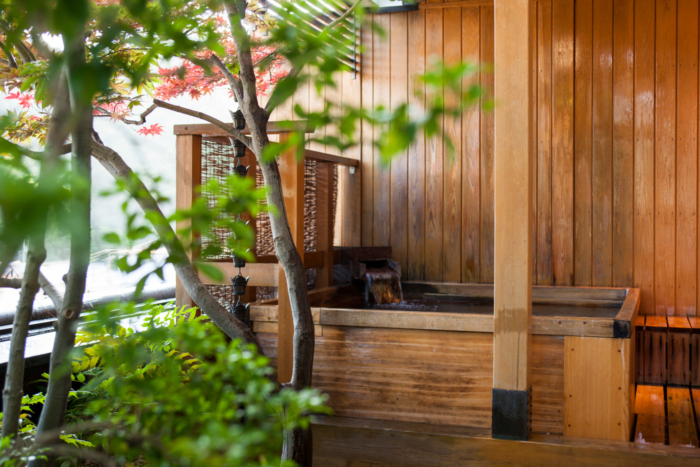 開放感のあるお部屋とお風呂ですっきりリフレッシュ！4071874