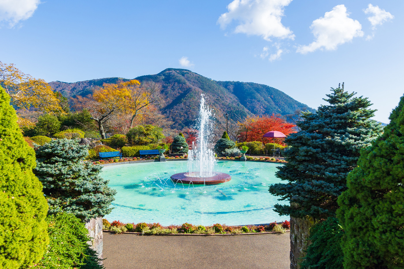 日本屈指の観光地　箱根の秋　紅葉の箱根強羅公園