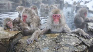 観光スポット / 9