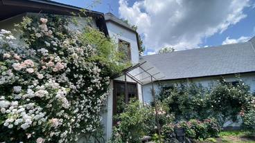 カフェルヴァン / 3