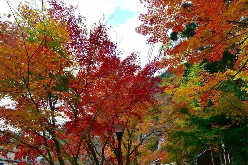 マウンテン ビュー