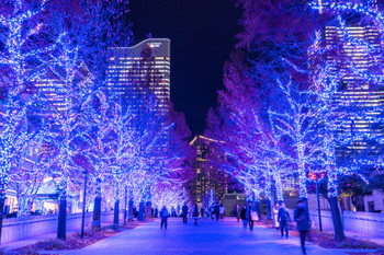 < Kanagawa > Yokohama Minato Mirai Winter Illumination