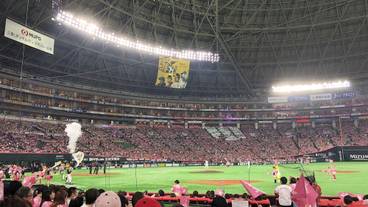 観光スポット / 15