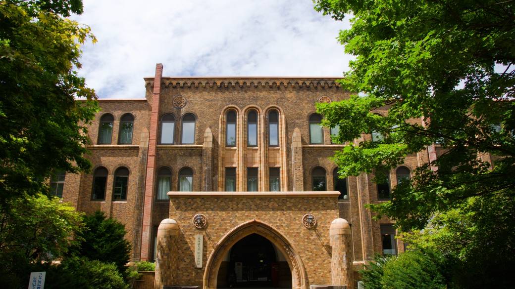 北海道大学総合博物館 / 4