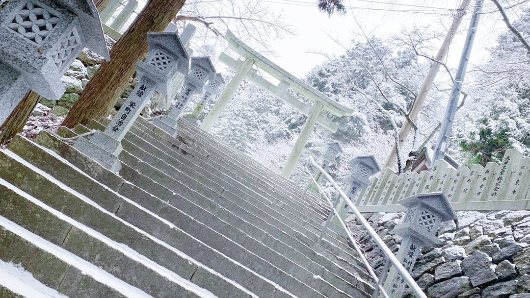 mato_kumaさんの写真 / 1