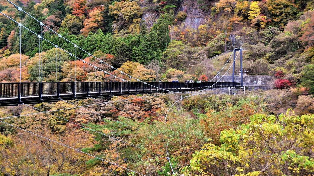 鬼怒楯岩大吊橋(紅葉) / 2