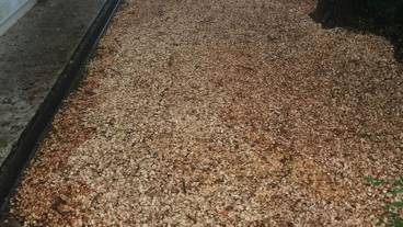 ペット同伴可 / 2