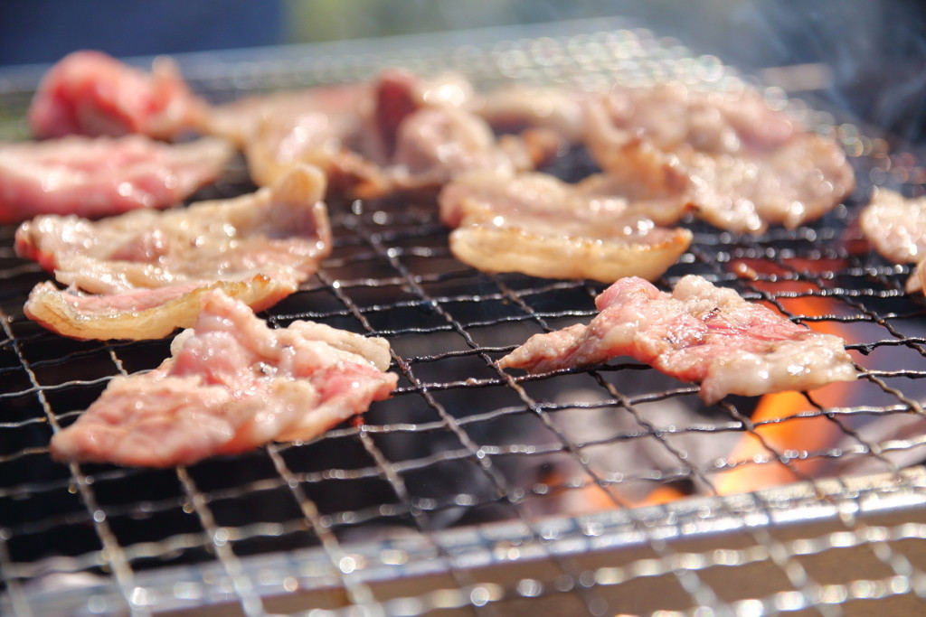 焼肉を食べてエネルギーチャージをしよう！1400702