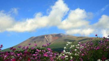 観光スポット / 7