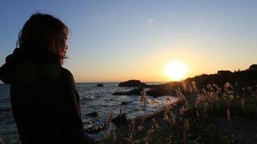 施設からの眺望 / 2