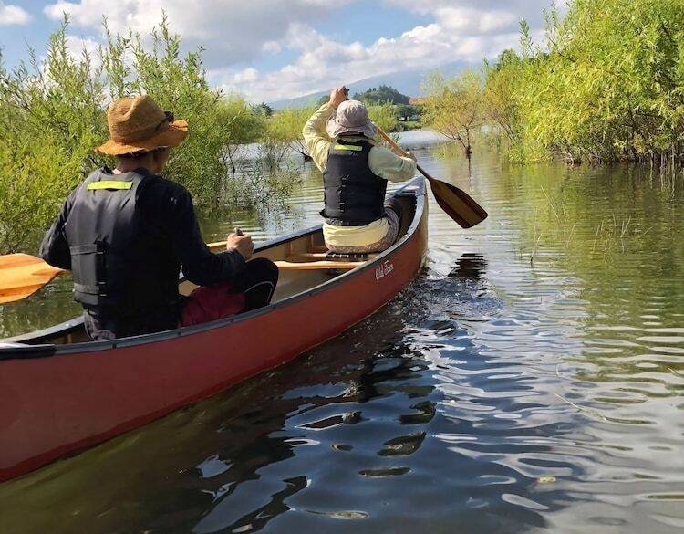 河口湖モーニングカヌー / 2