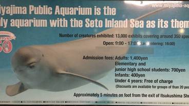 観光スポット / 22