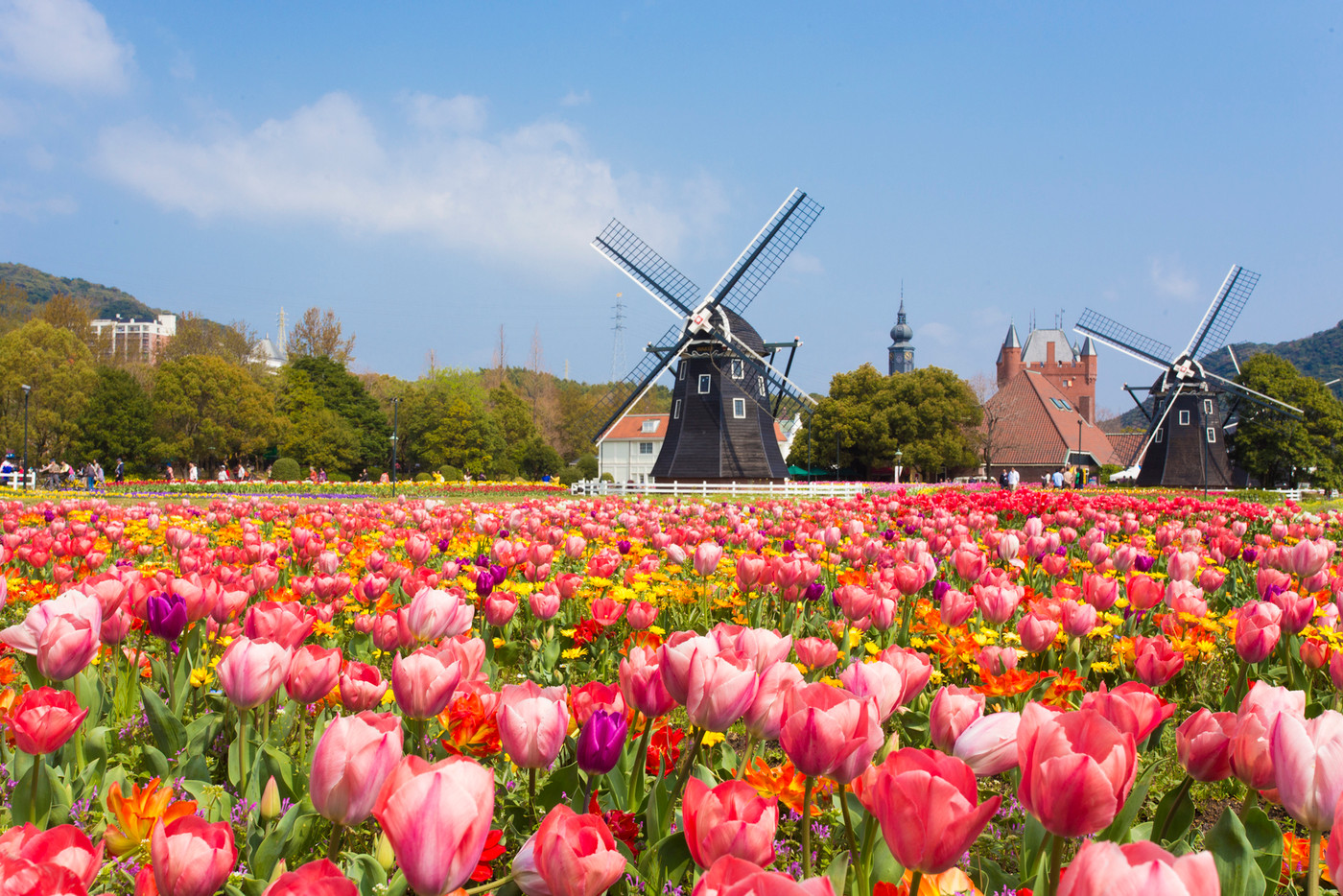 一面の花々に心躍る「100万本の大チューリップ祭」2002862