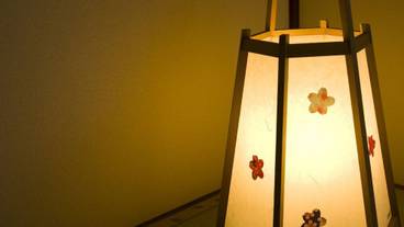 内装の詳細 / 17