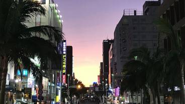 観光スポット / 5
