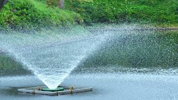 観光スポット / 7