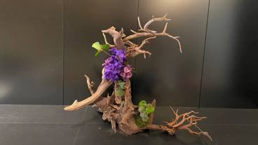 フレイザースイート赤坂東京(フレイザースイートアカサカトウキョウ) / 5