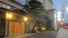 湯の川 純和風旅館 一乃松