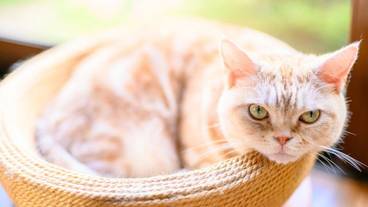 施設内の設備 / 31