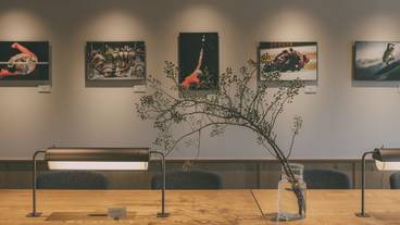 ロビーラウンジ / 12