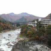 鬼怒川温泉 花の宿 松や（栃木県 旅館） / 5