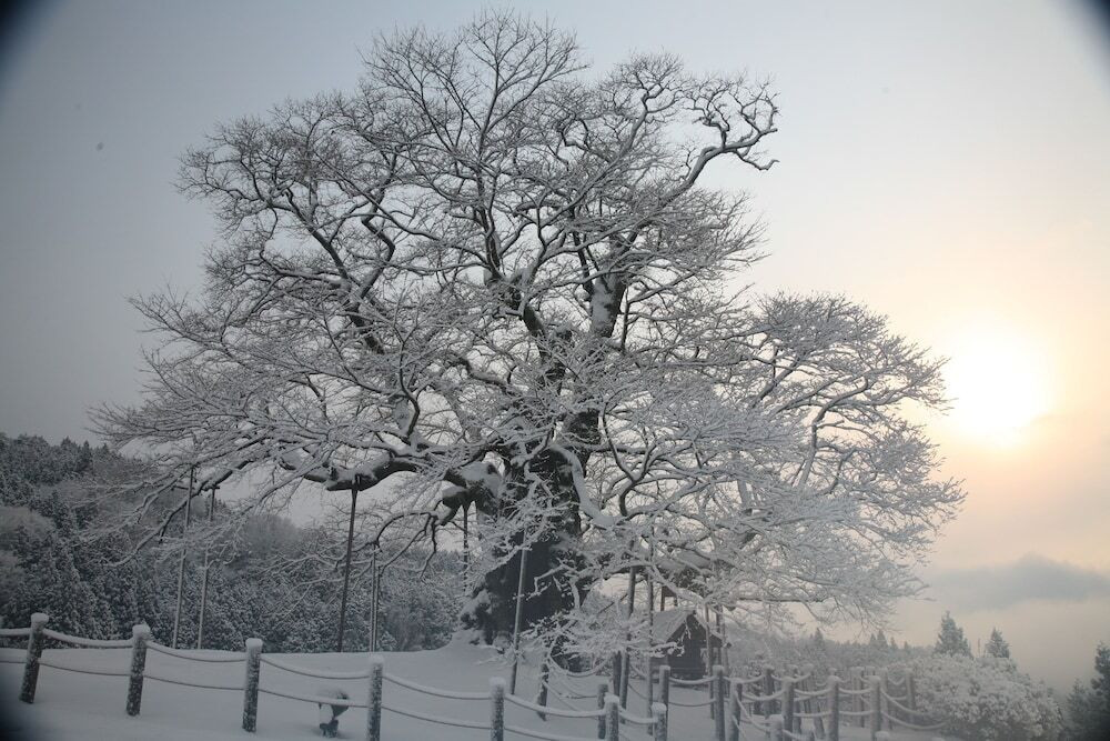 マウンテン ビュー